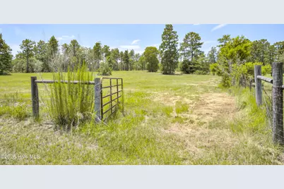 798 Big Branch Road, Wagener, SC 29164 - Photo 39