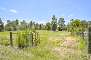 798 Big Branch Rd, Wagener, SC 29164 - Photo 39