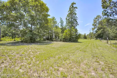 798 Big Branch Road, Wagener, SC 29164 - Photo 43