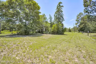 798 Big Branch Rd, Wagener, SC 29164 - Photo 43