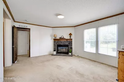 798 Big Branch Road, Wagener, SC 29164 - Photo 19