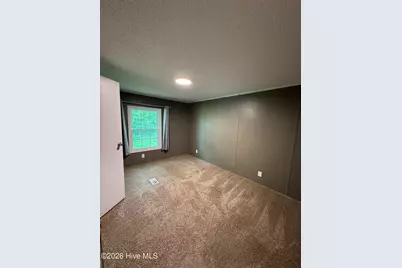 501 Ruskin Road, Dudley, NC 28333 - Photo 3