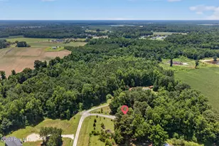 434 Upland Rd, Willard, NC 28478 - Photo 65