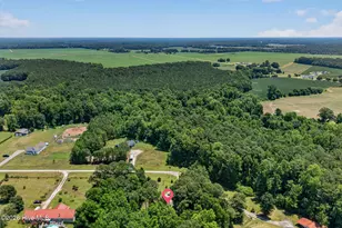 434 Upland Rd, Willard, NC 28478 - Photo 63