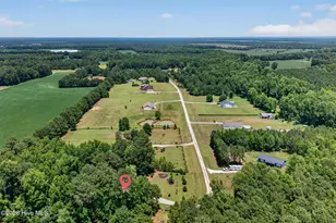 434 Upland Rd, Willard, NC 28478 - Photo 61