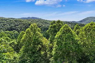 3477 Salem Rd, Mineral Bluff, GA 30559 - Photo 53