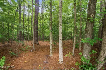N/A Spring Garden Road, New Bern, NC 28562 - Photo 11