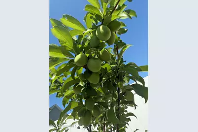 2950 Cragburn Place, Fayetteville, NC 28306 - Photo 53