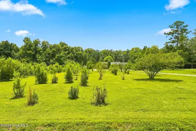 1101 Porters Lane Road, Rocky Point, NC 28457 - Photo 11