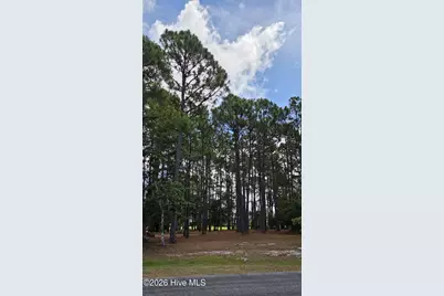 3451 Haskell Lane SE, Southport, NC 28461 - Photo 15