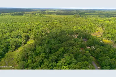 170 Winding Creek Drive, Oriental, NC 28571 - Photo 5