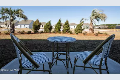 225 Red Vineyard Way #Lot 36, Jacksonville, NC 28546 - Photo 51