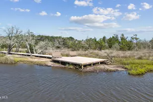 107 Dolphin View Ct, Sneads Ferry, NC 28460 - Photo 29