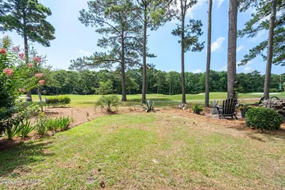 994 Mill Run Road, Sneads Ferry, NC 28460 - Photo 59