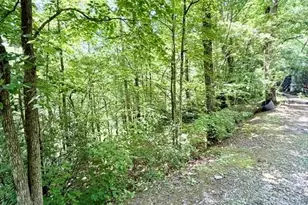 89 Dog Hollow Hollow, Robbinsville, NC 28771 - Photo 21
