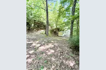 89 Dog Hollow Hollow, Robbinsville, NC 28771 - Photo 19