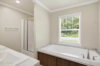 425 Beckys Creek Road, Hampstead, NC 28443 - Photo 23