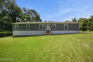 425 Beckys Creek Rd, Hampstead, NC 28443 - Photo 1