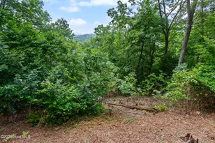 620 Cardinal Rd, Murphy, NC 28906 - Photo 57