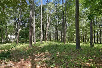 123 White Swan Way, Swansboro, NC 28584 - Photo 9