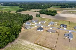 161 Grace Rdg Ct, Benson, NC 27504 - Photo 23