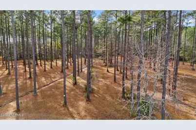 137 Ocracoke Drive, Oriental, NC 28571 - Photo 37