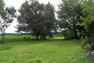 3150 NC-118, Vanceboro, NC 28586 - Photo 27