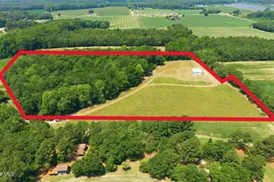 4800 Eatmon Rd, Bailey, NC 27807 - Photo 43