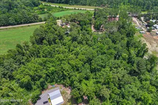 6684 Luckys Brg Rd, Dearing, GA 30808 - Photo 59