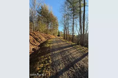 Lot 5 Downings Creek Road, Hayesville, NC 28904 - Photo 5