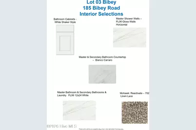 185 Bibey Road #Lot 3, Carthage, NC 28327 - Photo 11