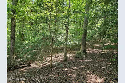 Lot 10 Bobcat Lane, Murphy, NC 28906 - Photo 3