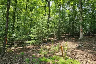 Lot 10 Bobcat Ln, Murphy, NC 28906 - Photo 1