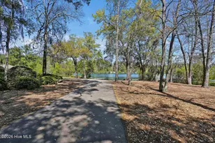 1016 Ginger Lily Way, Leland, NC 28451 - Photo 61