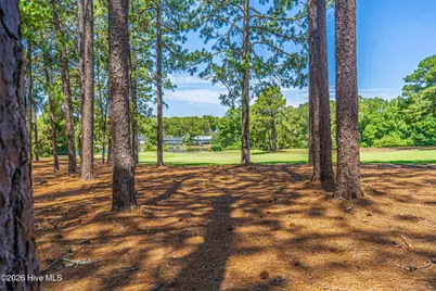 285 Sugar Gum Lane #Unit 50, Pinehurst, NC 28374 - Photo 35