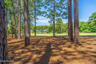 285 Sugar Gum Ln, Pinehurst, NC 28374 - Photo 35