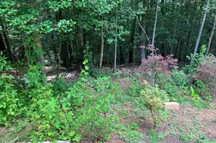 195 Woodcrest Dr, Murphy, NC 28906 - Photo 39
