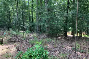 195 Woodcrest Dr, Murphy, NC 28906 - Photo 41