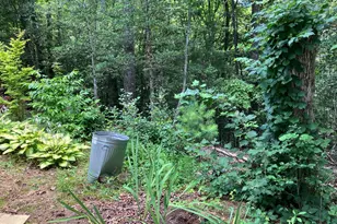 195 Woodcrest Dr, Murphy, NC 28906 - Photo 35