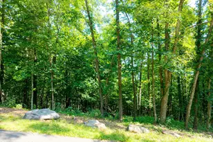 46 Buck Ridge Dr, Murphy, NC 28906 - Photo 1