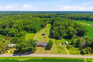 4040 Willard Rd, Willard, NC 28478 - Photo 49