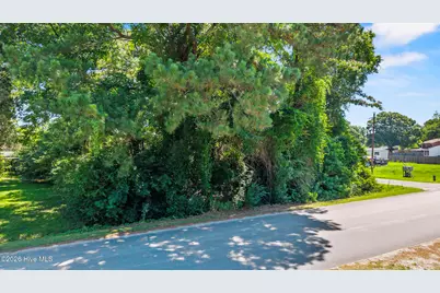 Tbd Thomas Humphrey Road, Jacksonville, NC 28546 - Photo 3
