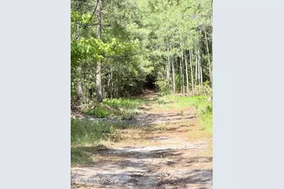 111-112 Seaside. (12.25 Acres) Road SW, Sunset Beach, NC 28468 - Photo 5