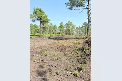 111-112 Seaside. (12.25 Acres) Road SW, Sunset Beach, NC 28468 - Photo 11