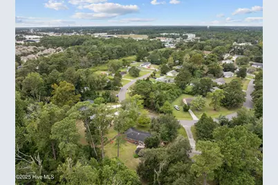 233 Buff Circle, Wilmington, NC 28411 - Photo 47