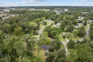 233 Buff Cir, Wilmington, NC 28411 - Photo 47