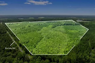Na Burney Rd, White Oak, NC 28399 - Photo 1