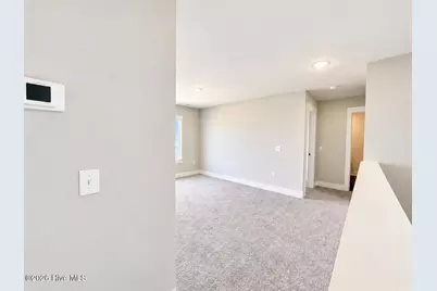 1141 Pampas Grass Drive #Lot 286, Castle Hayne, NC 28429 - Photo 5