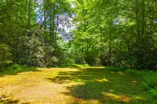 394 Anderson Rd, Robbinsville, NC 28771 - Photo 67
