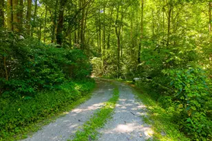 394 Anderson Rd, Robbinsville, NC 28771 - Photo 47